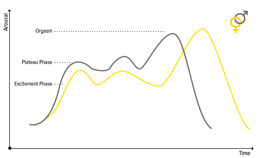 Sexual arousal in men and women