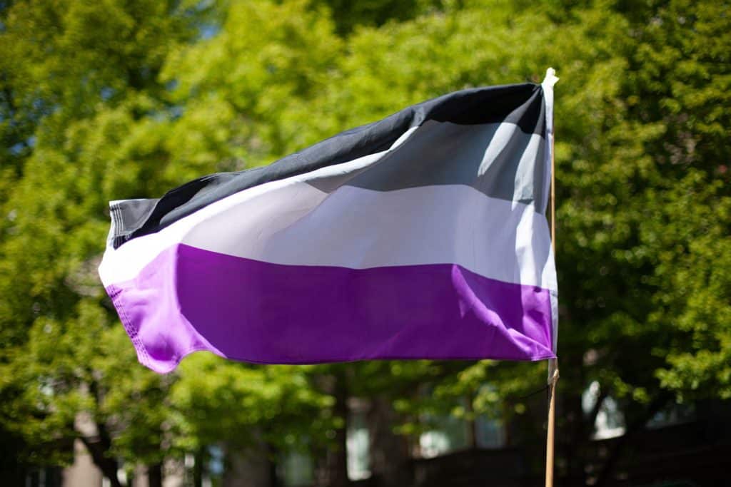 The flag for asexuality is waving in the wind. Trees can be seen in the background.